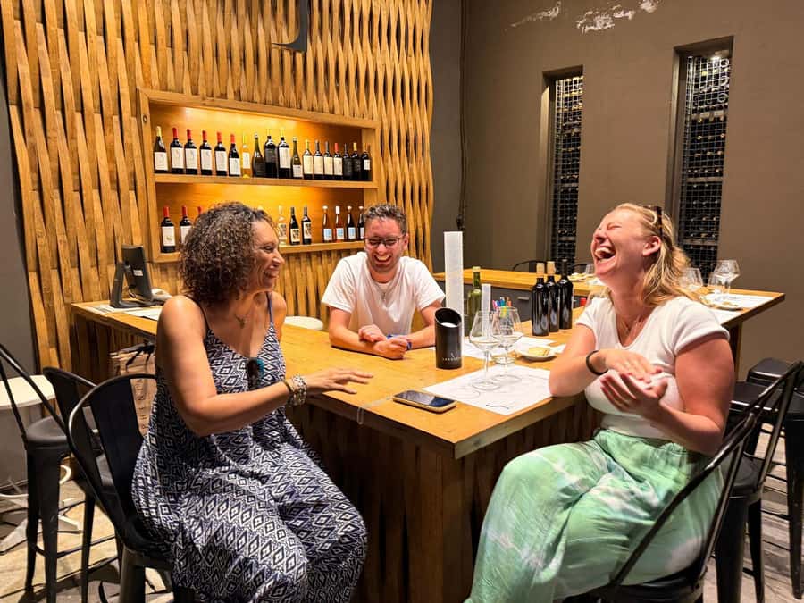 Mendoza: Top Wineries Guided Tour with Transportation - Who should book this wine tour?