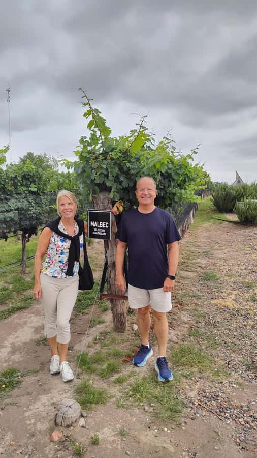 Mendoza: Top Wineries Guided Tour with Transportation - Luján de Cuyo: the practical wine-country choice