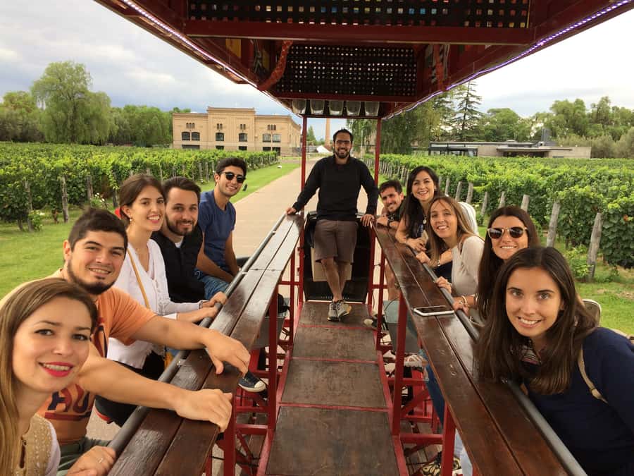 Mendoza: Winebike Tasting Tour with Optional Lunch - A playful way to enter Mendoza wine country