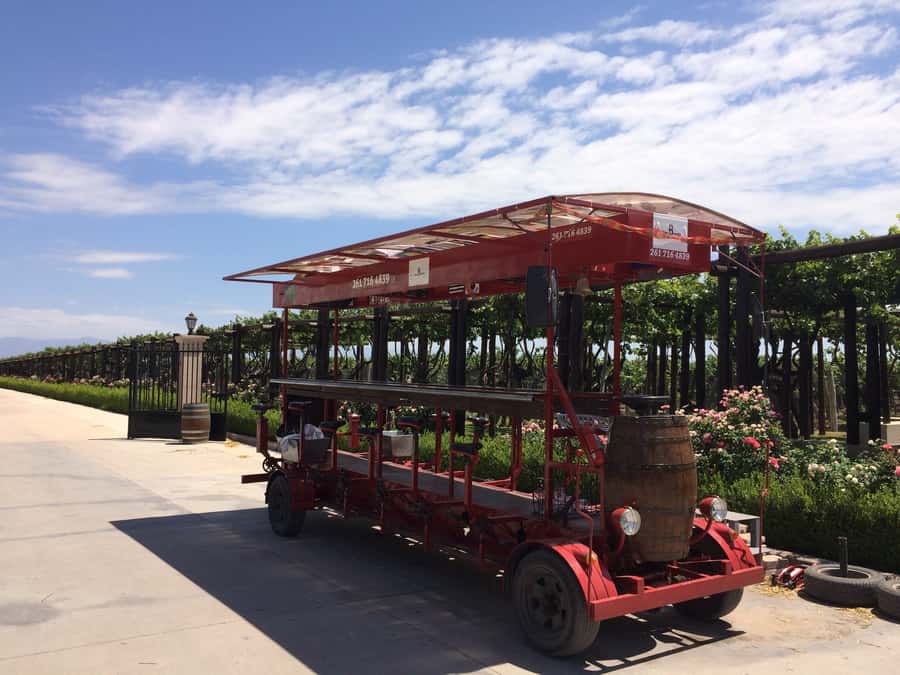Mendoza: Winebike Tasting Tour with Optional Lunch - Carinae sets the tone with wine and local history