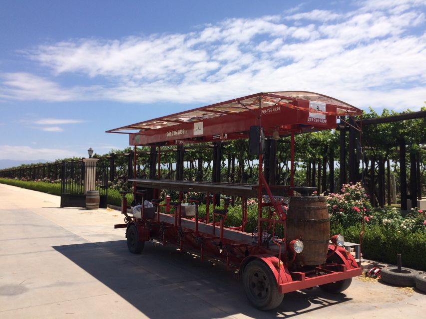 Mendoza: Winebike Tasting Tour with Optional Lunch - Who will enjoy this Mendoza tour most