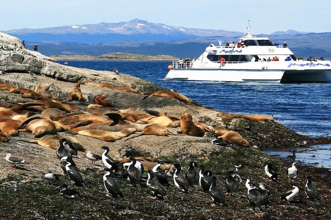 Navigation to Beagle Channel and Sea Lions Island with Transfers - Why the Beagle Channel deserves your time