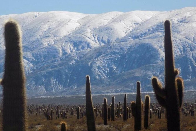 One Day Tour of Cachi and Calchaquí Valleys from Salta - Why this Salta day trip is worth your time