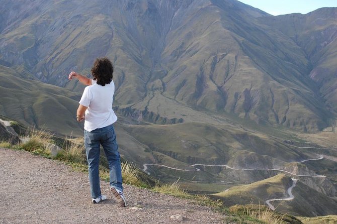 One Day Tour of Cachi and Calchaquí Valleys from Salta - Los Cardones National Park and its giant cacti