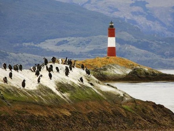 Penguin walk in Ushuaia + navigation option - What Makes This Penguin Walk Worth Considering