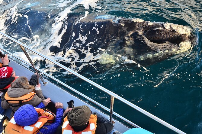 Peninsula Valdes Tour with Optional Whale Watching - Carlos Ameghino Isthmus: a useful first look