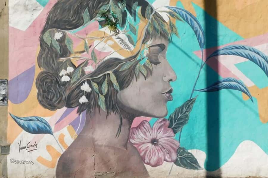 Premium Argentinian Wine and Malbec Tasting & Urban Art Tour - Why the Palermo Soho setting matters