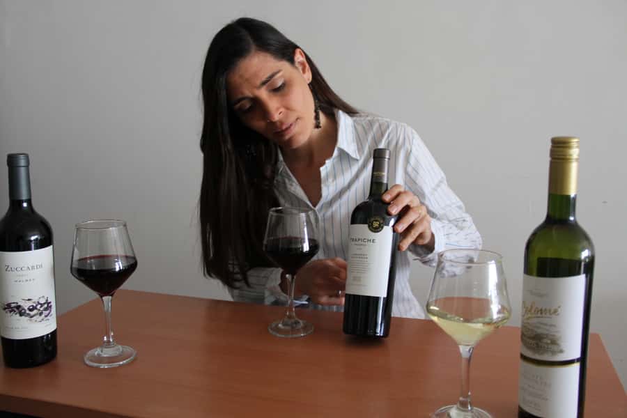 Premium Argentinian Wines and Malbec Tasting Experience - Mendoza, Salta, and Patagonia on one wine map