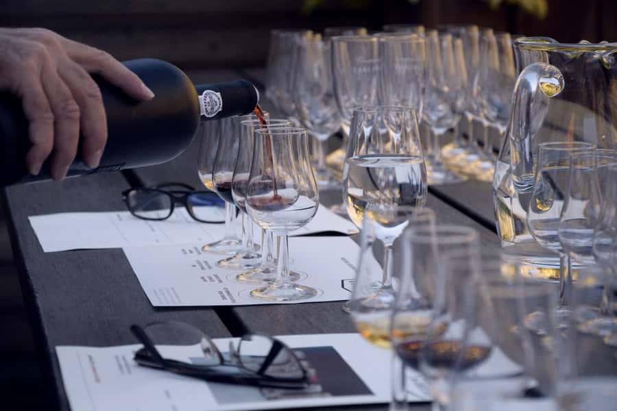 Premium Argentinian Wines and Malbec Tasting Experience - The guides are a major part of the experience