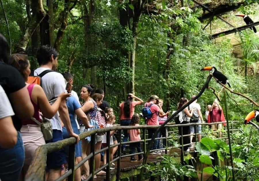 Puerto Iguazu: Iguaza Falls Brazilian Side & Bird Park Tour - Key points to know before booking