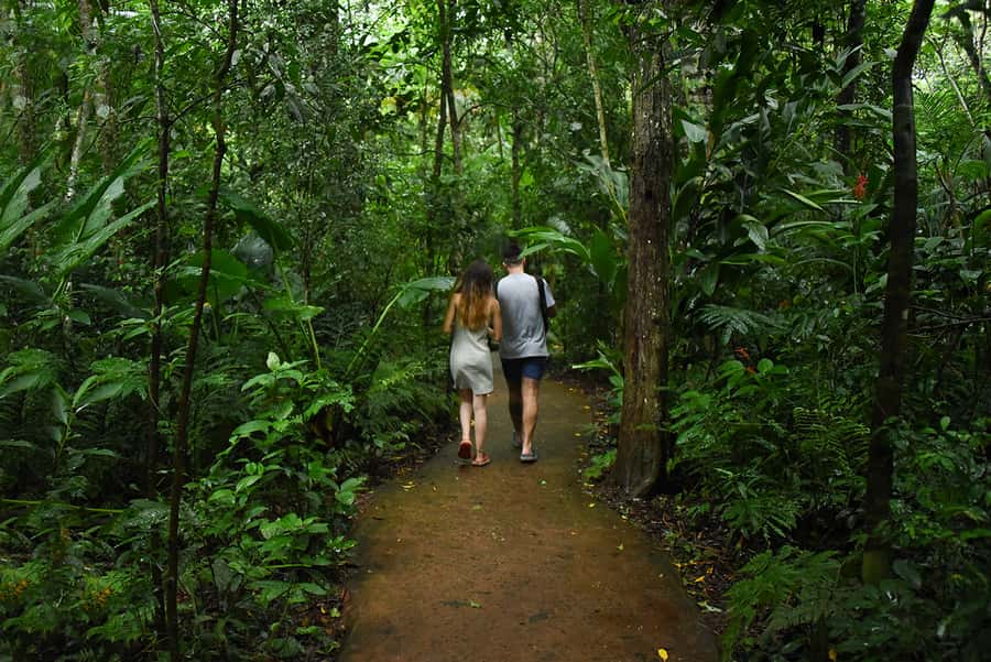 Puerto Iguazu: Iguaza Falls Brazilian Side & Bird Park Tour - Should you book it?