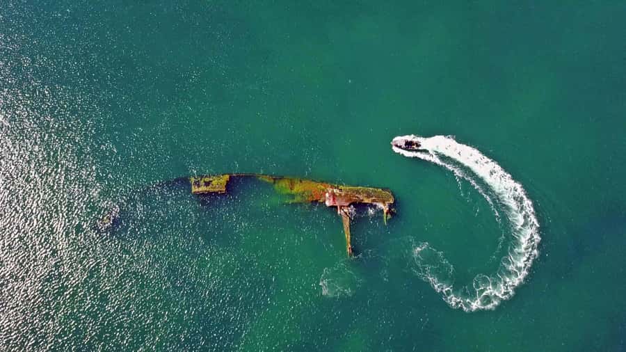 Puerto Madryn: Snorkeling Trip with Sea Lions - Why Punta Loma is the right place for sea lions