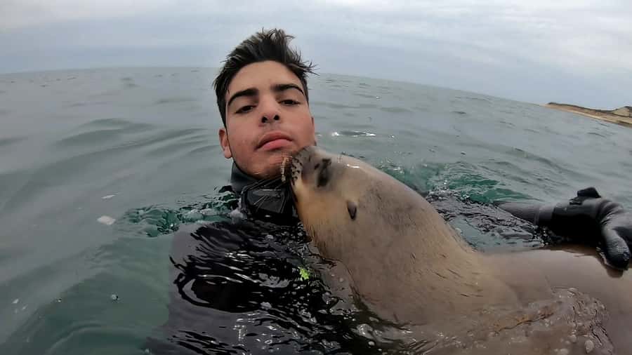 Puerto Madryn: Snorkeling Trip with Sea Lions - Photos, memories and responsible wildlife contact