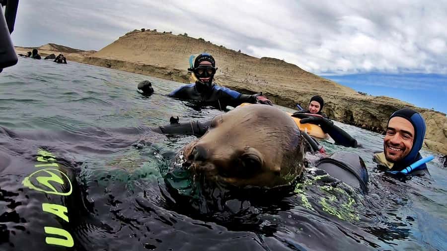 Puerto Madryn: Snorkeling Trip with Sea Lions - How long the tour really takes