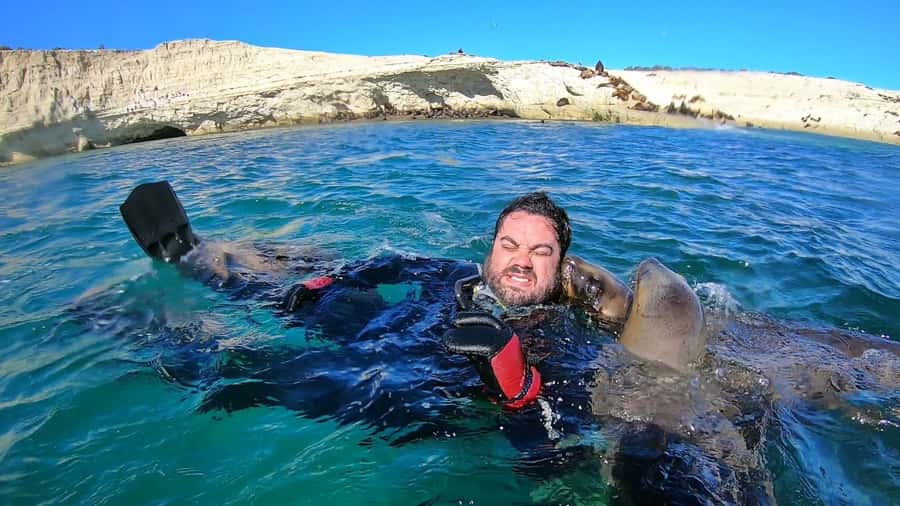 Puerto Madryn: Snorkeling Trip with Sea Lions - What the $150 price includes