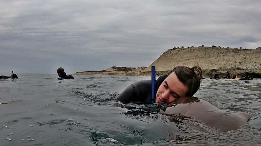 Puerto Madryn: Snorkeling Trip with Sea Lions - Group size and the feel of the outing