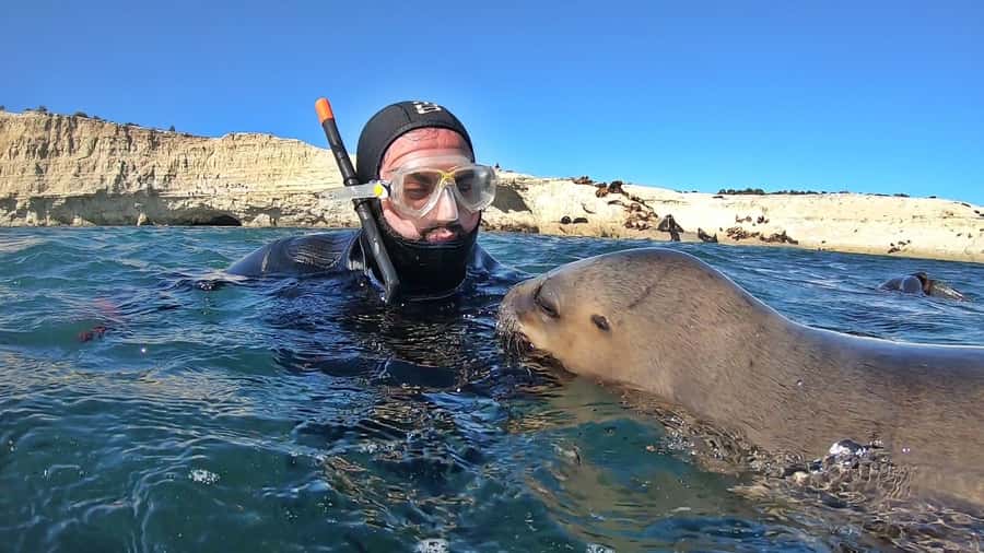Puerto Madryn: Snorkeling Trip with Sea Lions - Paraná Beach and the Spanish shipwreck