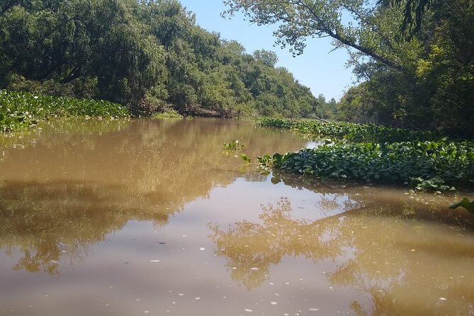 Safari náutico en tigre - Why this Tigre boat tour feels different