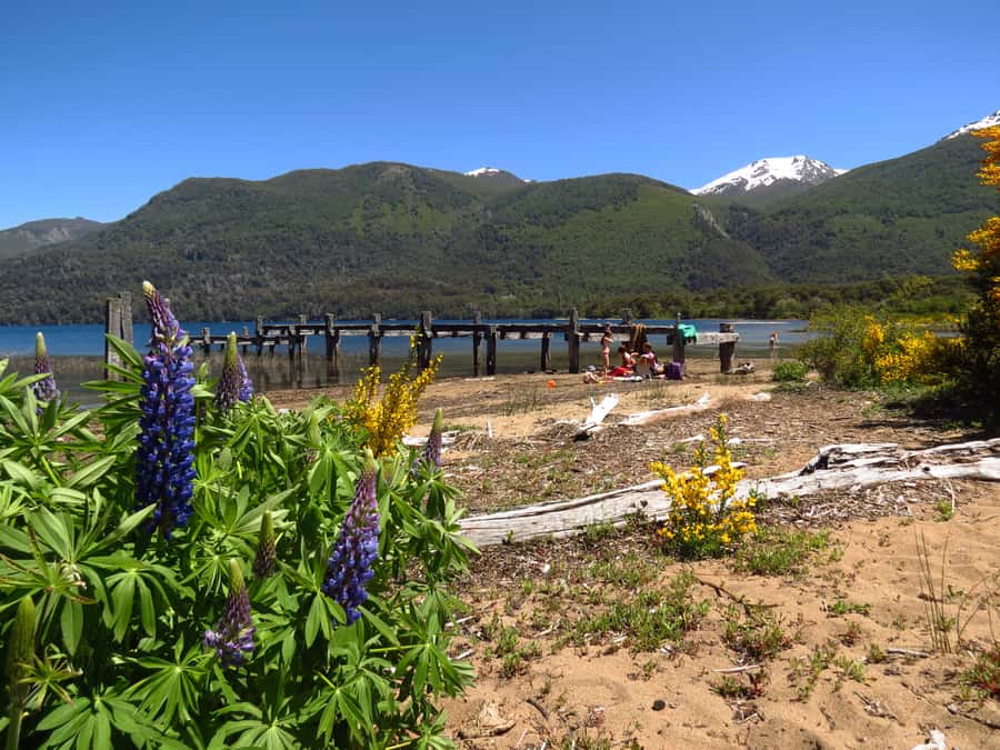 San Martín de los Andes por 7 Lagos - Key points to know before you book
