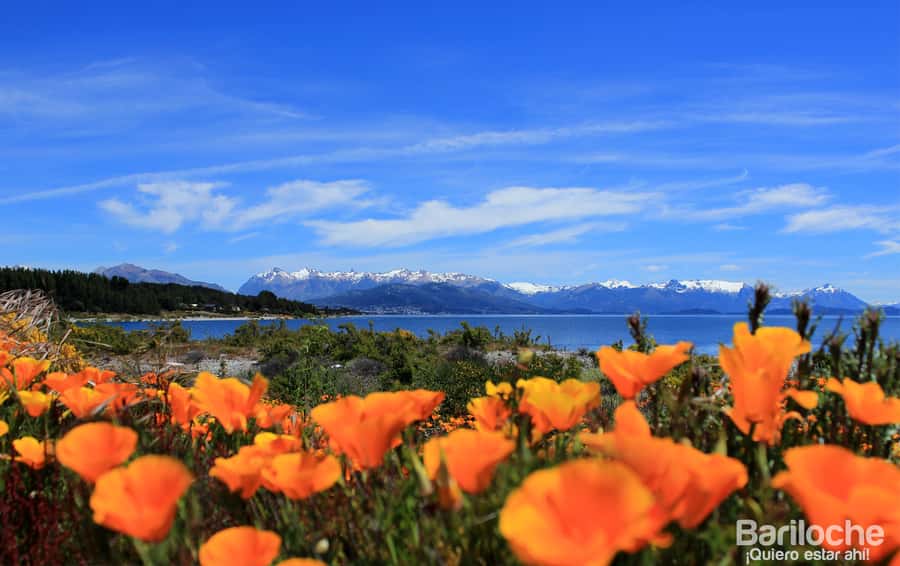 San Martín de los Andes por 7 Lagos - Walking beside the first lakes