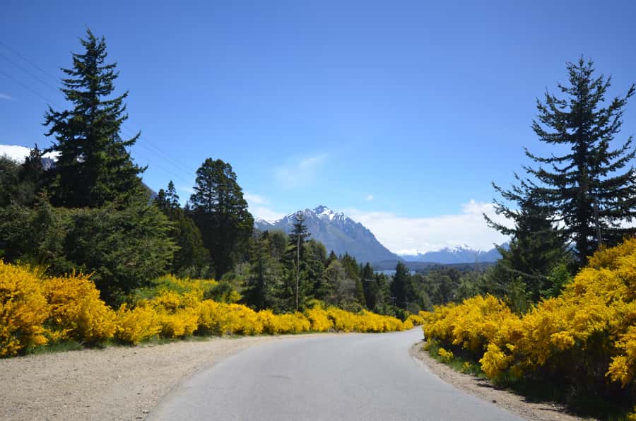 San Martín de los Andes por 7 Lagos - An 8 AM start through Dina Huapi and the Limay River