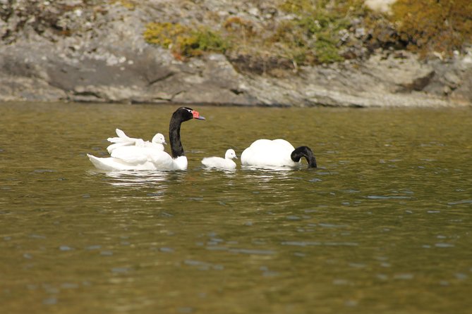 Shore Excursion - National Park Tierra del Fuego - Timing, weather, and cruise-day safety