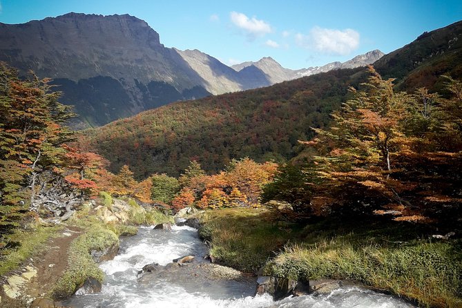 Small group Trekking to Vinciguerra Glacier and Témpanos Lagoon - Why this Ushuaia hike feels like a real outing