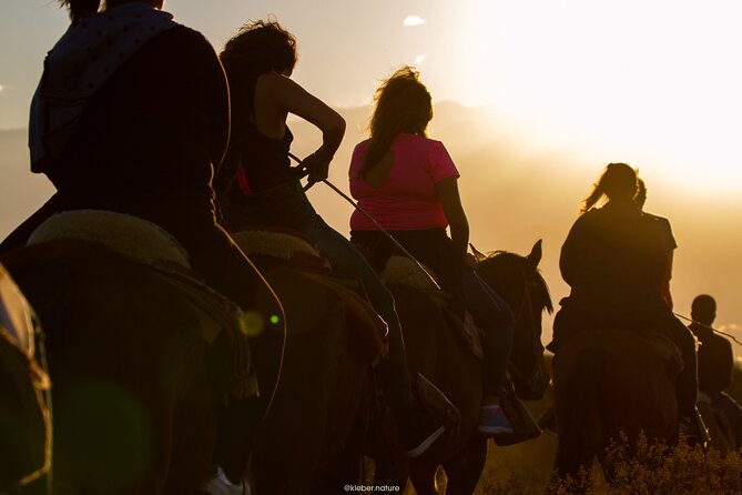 Sunset Horseback Riding - Meeting the horses and learning the basics