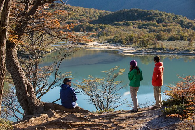 Tierra del Fuego National Park Private Tour - Why this private park tour works well from Ushuaia