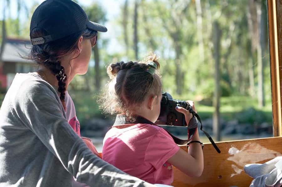 Tigre: River Delta Panoramic Boat Tour - Starting at Tigre’s fluvial station