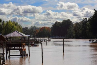 River Delta Panoramic Boat Tour