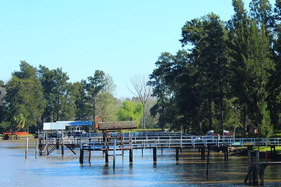 Tigre: River Delta Panoramic Boat Tour - Is $18 a fair price?