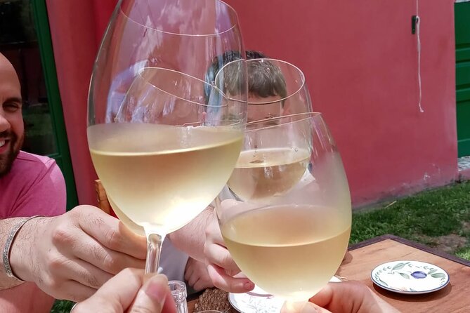 Top Rated: Winery Tour with Lunch in Mendoza - Timing, pace, and what can go wrong