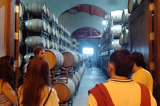 Top Rated: Winery Tour with Lunch in Mendoza - Who will get the most from this wine tour
