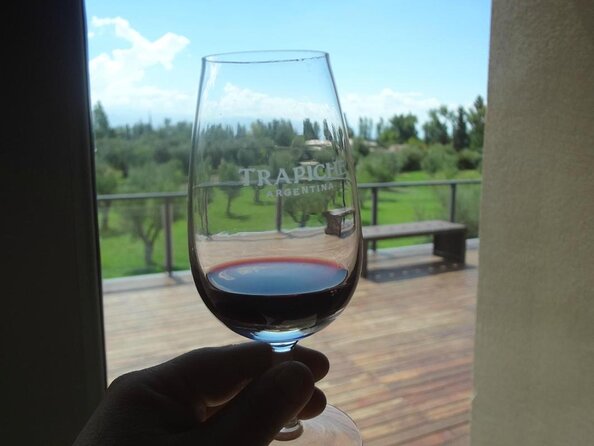Trapiche and Lunch The Enemy (Michelin) + Private transportation - Two Mendoza wine worlds in one half-day