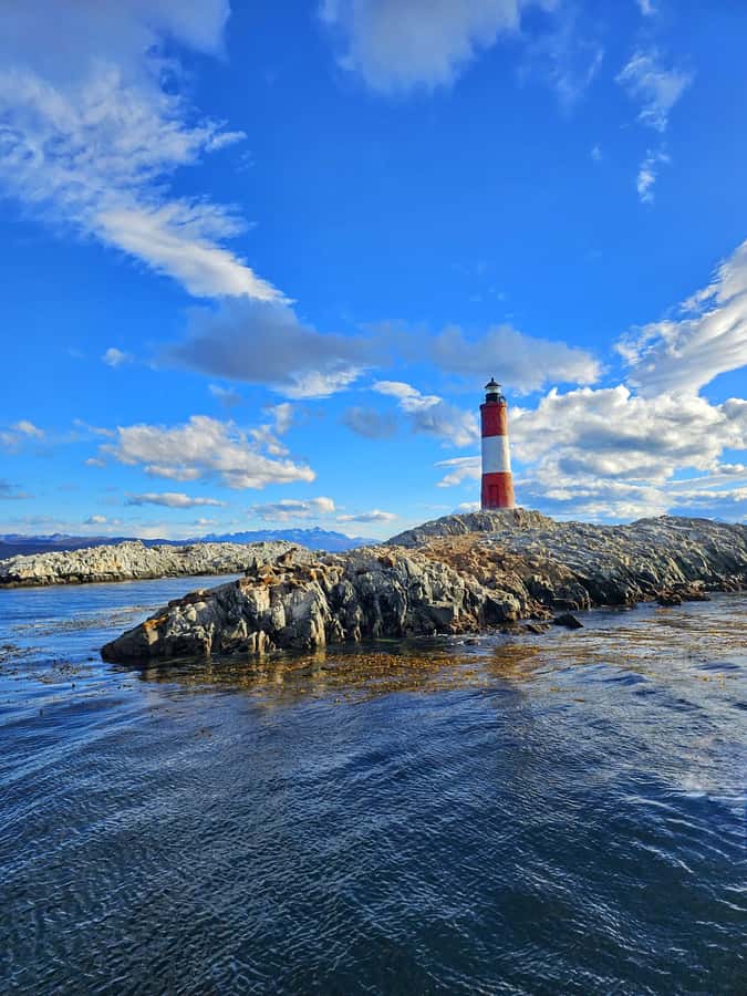 Ushuaia: Beagle Channel and Penguin Island - Why Martillo Island is the star of this cruise