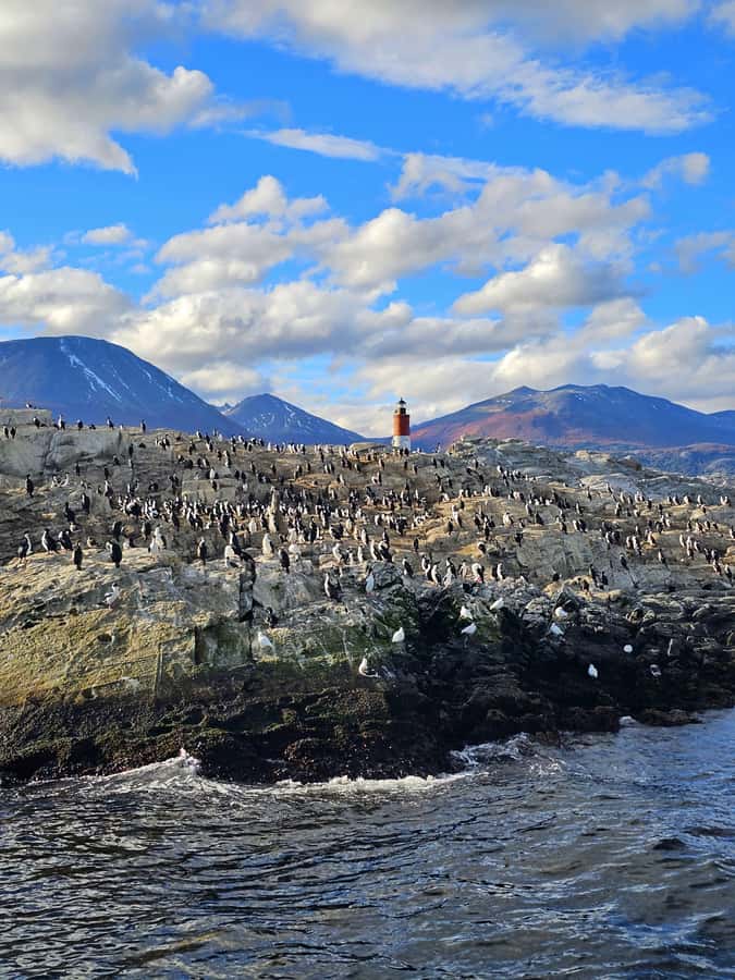 Ushuaia: Beagle Channel and Penguin Island - Sailing out through the Bay of Ushuaia