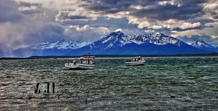 Ushuaia: Beagle Channel Boat Tour and Penguin Experience - Key points to know before booking