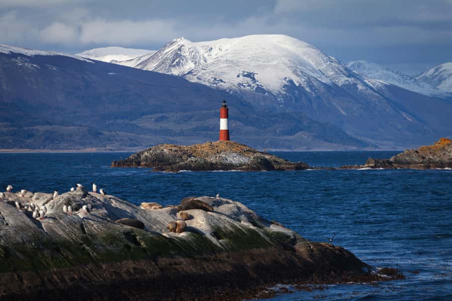 Ushuaia: Beagle Channel Boat Tour and Penguin Experience - Why Martillo Island makes this more than a standard boat trip