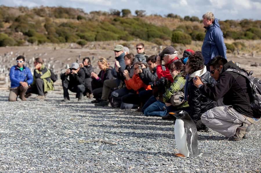 Ushuaia: Beagle Channel Boat Tour and Penguin Experience - Les Éclaireurs Lighthouse and Bridges Islands