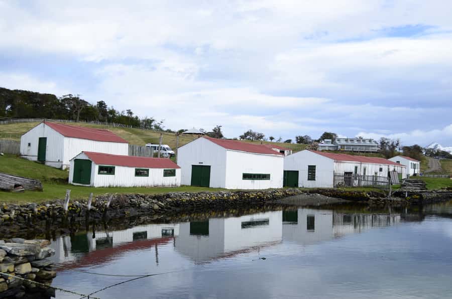 Ushuaia: Beagle Channel Boat Tour and Penguin Experience - Who should book this experience?