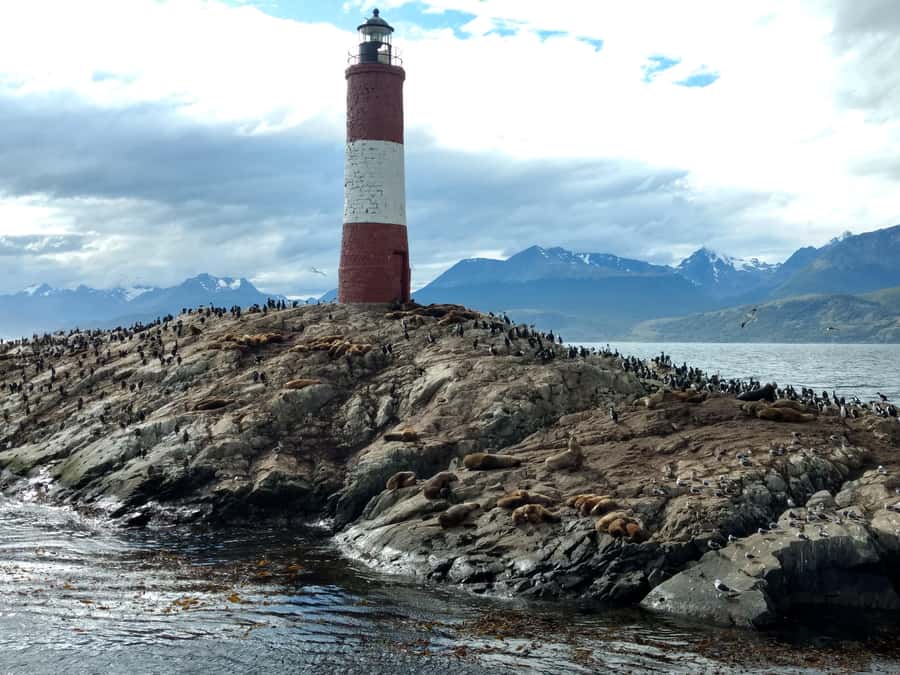 Ushuaia: Beagle Channel & Sea Wolves Island Catamaran Cruise - Practical tips for a better trip