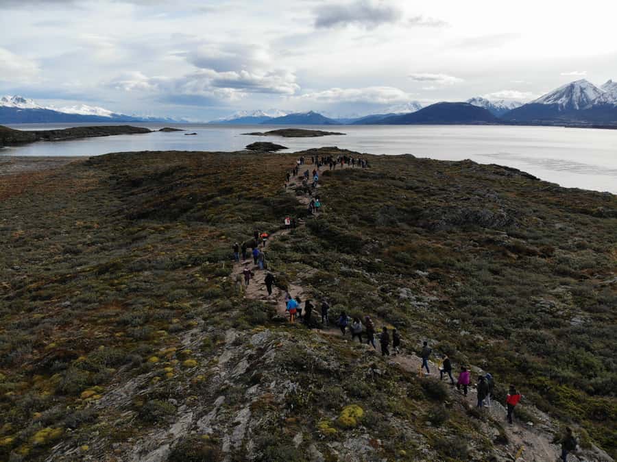Ushuaia: Beagle Channel, Seal Island & Bridges Islands Tour - Key things to know before sailing