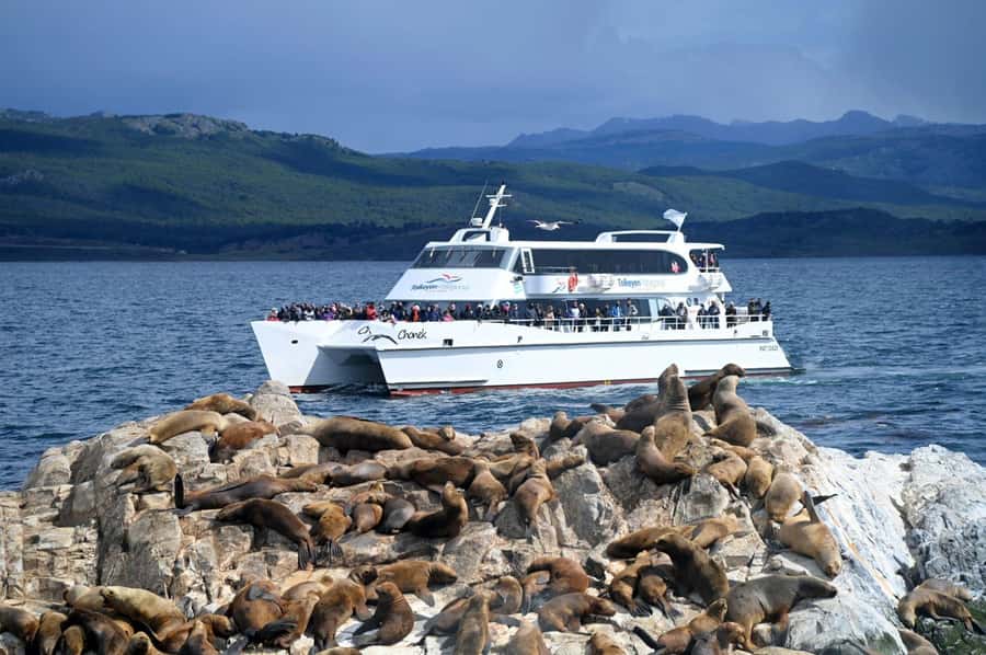 Ushuaia: Beagle Channel, Seal Island & Bridges Islands Tour - Karelo Island and the short shore walk