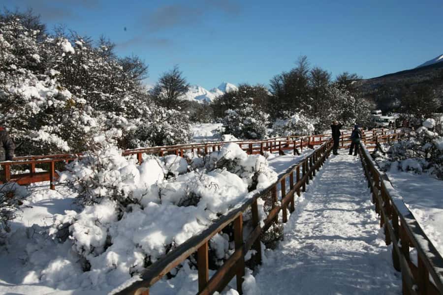 Ushuaia: End of the World Train Ride & Tierra del Fuego Park - Timing, language, and booking details