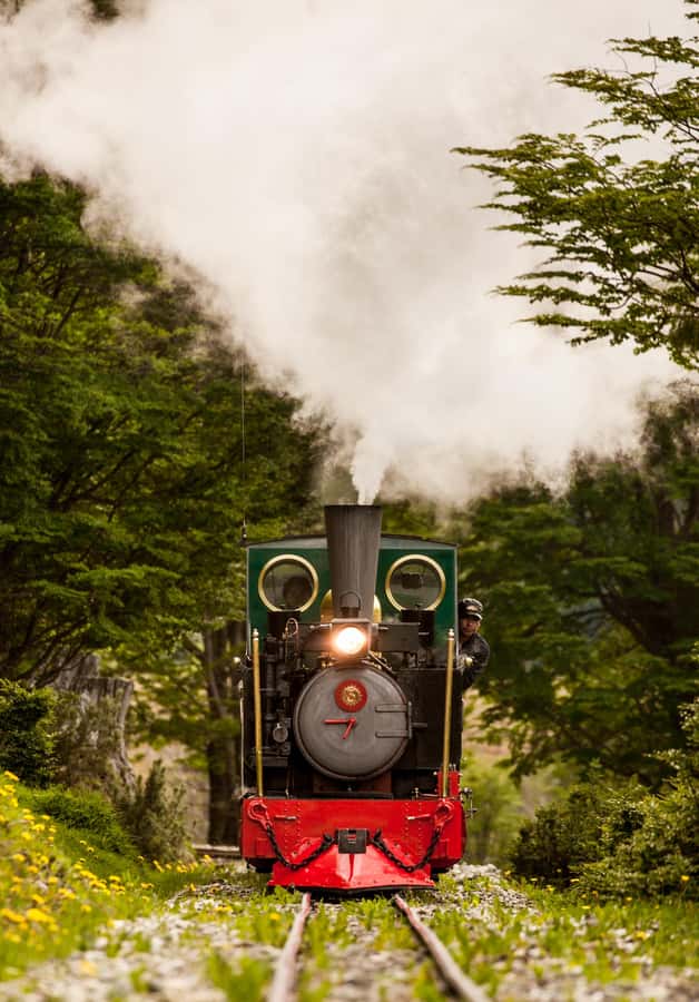 Ushuaia: National Park, Train, and Beagle Channel Navigation - Lapataia Bay and the End of Route 3