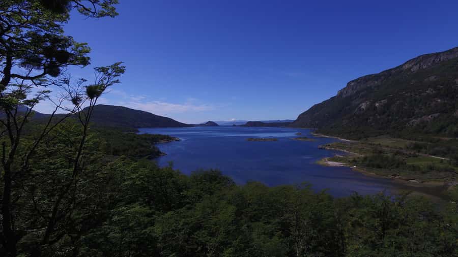 Ushuaia: National Park & Train of the End of the World Tour - Why this half-day tour works in Ushuaia