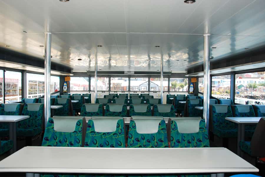 Ushuaia: Penguin Watching Tour by Catamaran - Sailing East Toward Martillo Island
