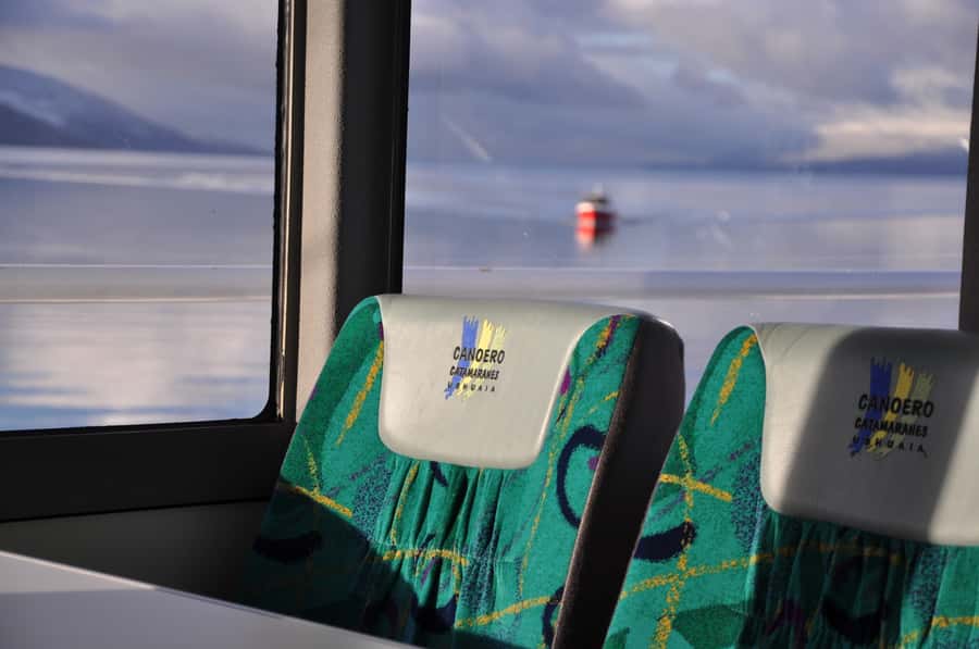 Ushuaia: Penguin Watching Tour by Catamaran - Martillo Island: The Penguin Highlight