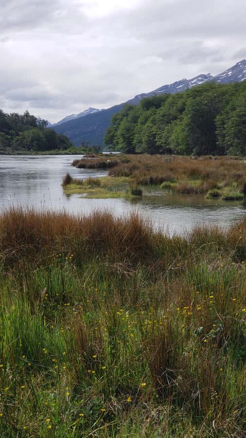 Ushuaia: Private Tour Tierra del Fuego National Park - Roca Lake, glaciers, and a warm break